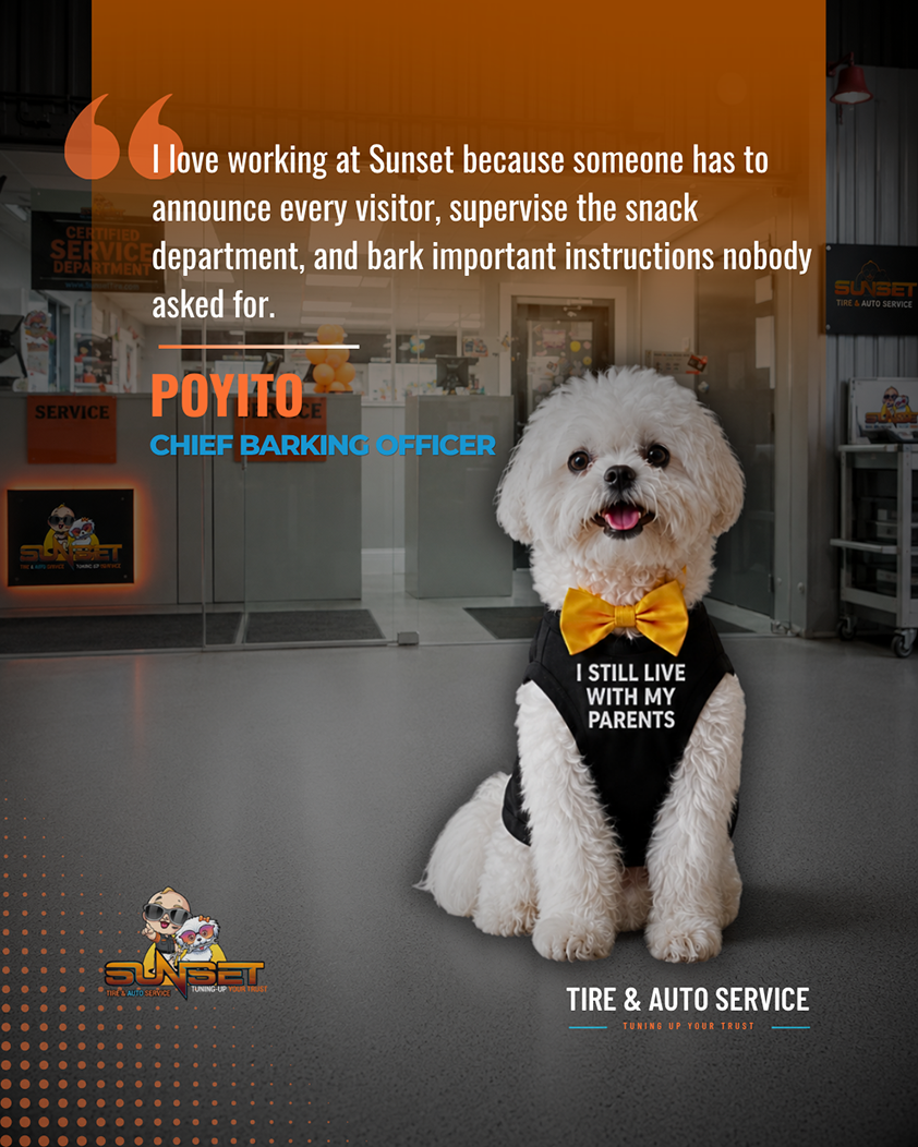 Poyito, Chief Barking Officer of Sunset Tire and Auto Repair | Sunset Tire and Auto Repair