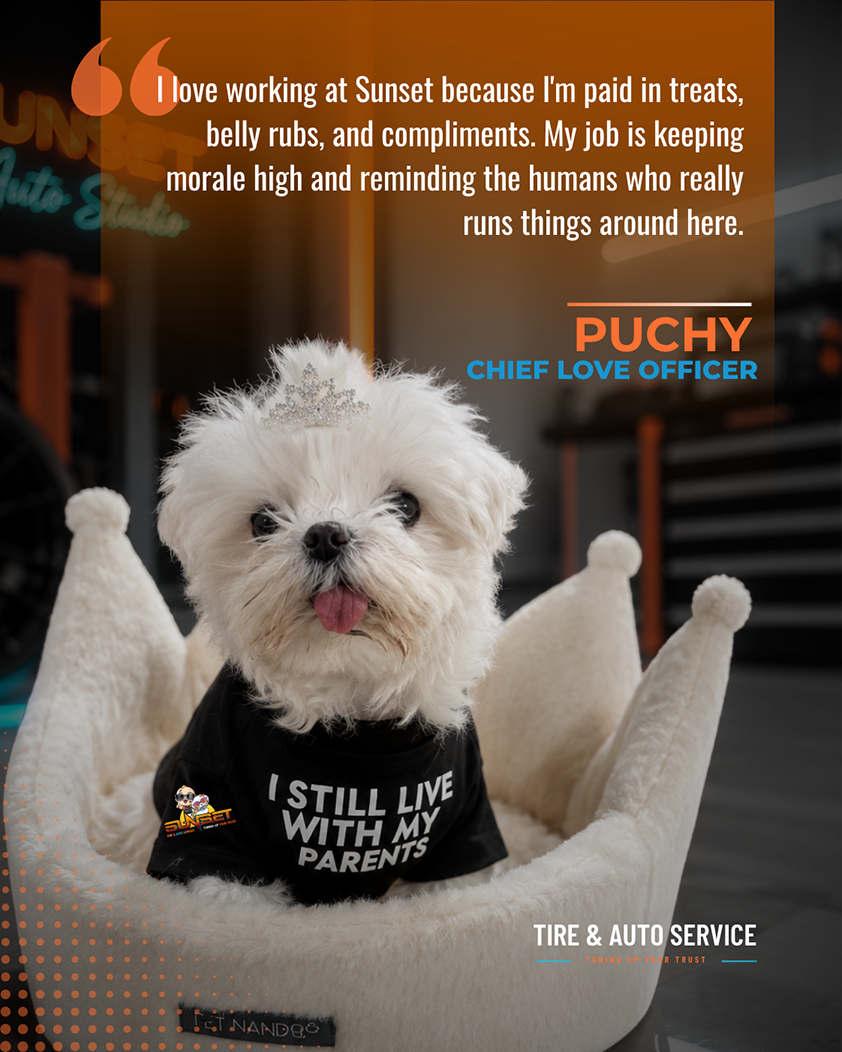 Puchy, Chief Love Officer of Sunset Tire and Auto Repair | Sunset Tire and Auto Repair
